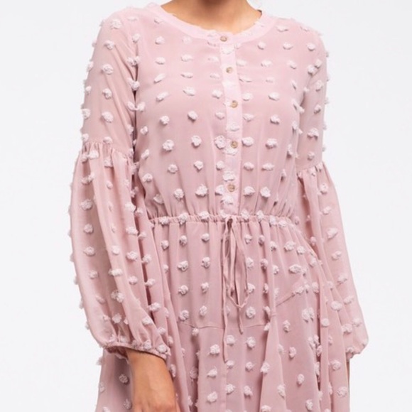 Blu Pepper Dresses & Skirts - Small Blu Pepper Pink Swiss Dot Mini dress